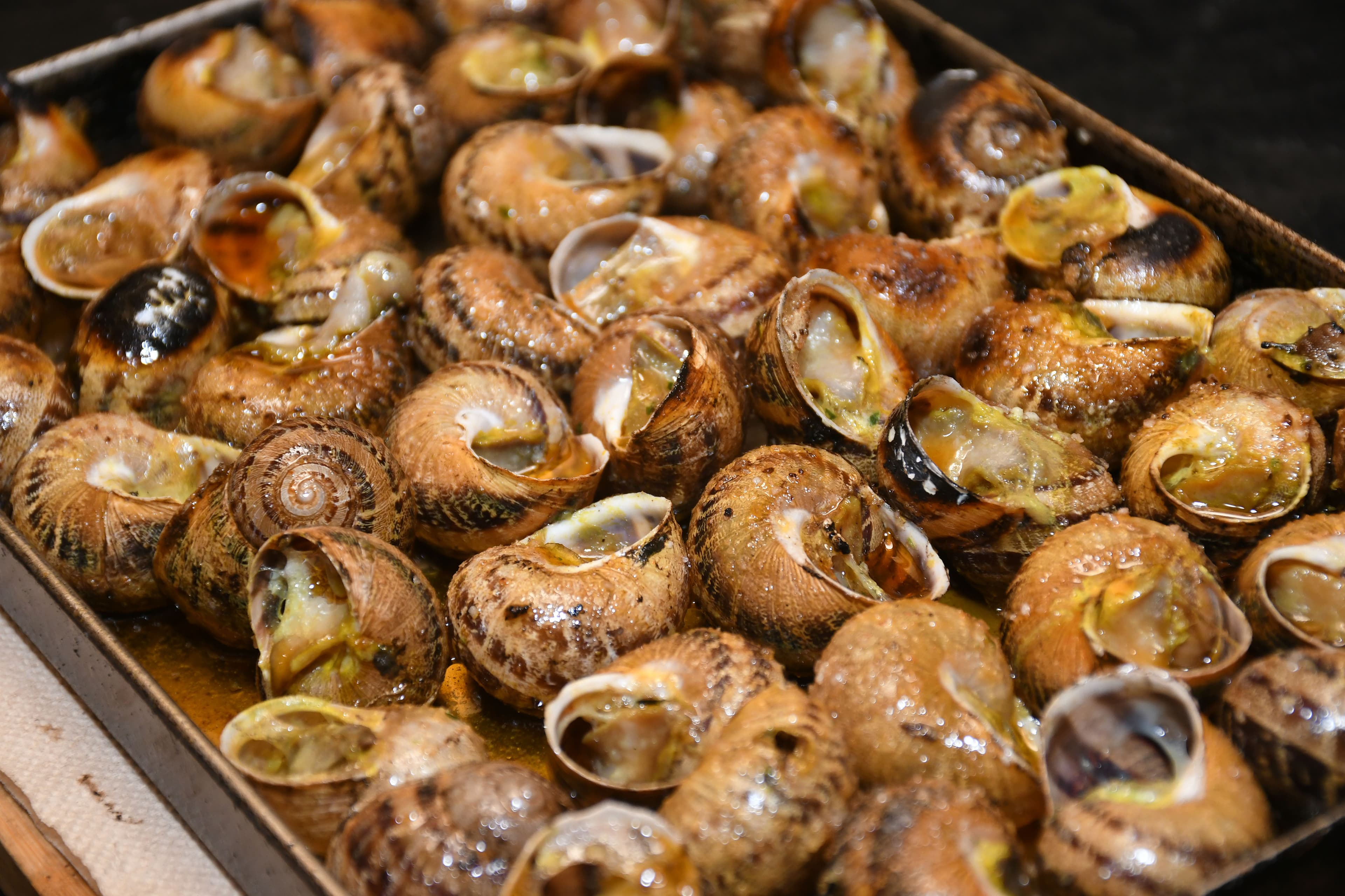 Caracoles asados a las brasas con alioli casero